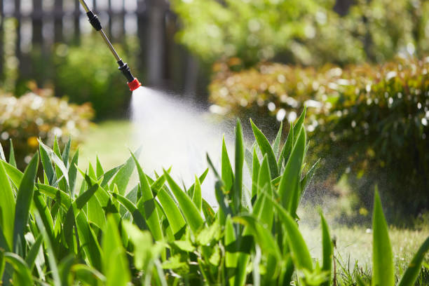 Tamper-Resistant Bait Stations for Rodents in Grove