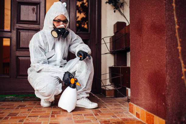 Attic and Crawl Space Rodent Treatment in Grove