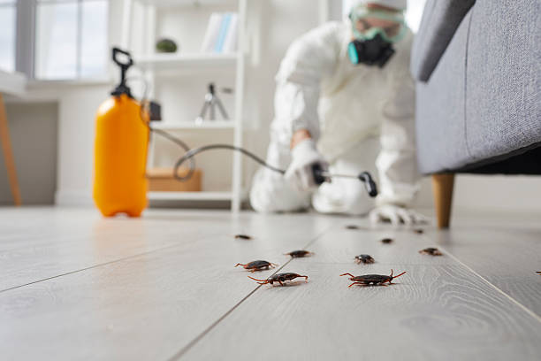 Commercial Rodent Management in Grove